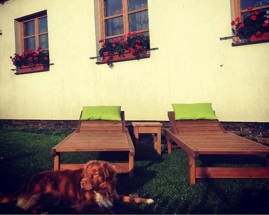 Horsky Apartman Zvonicka Rejvíz Exterior foto